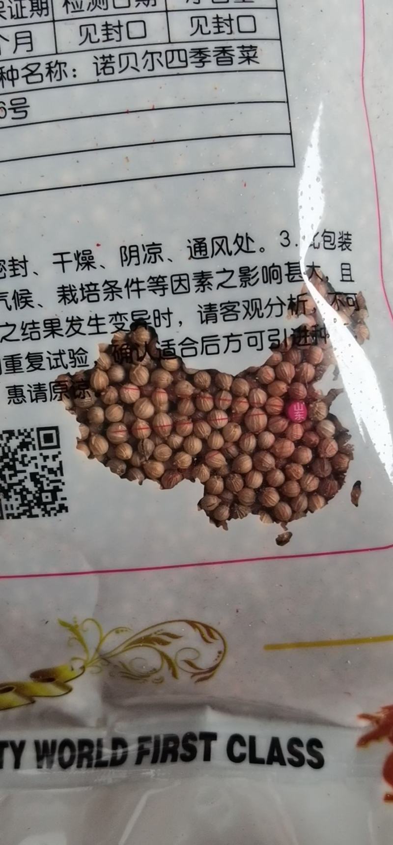 精品美国大叶香菜种子