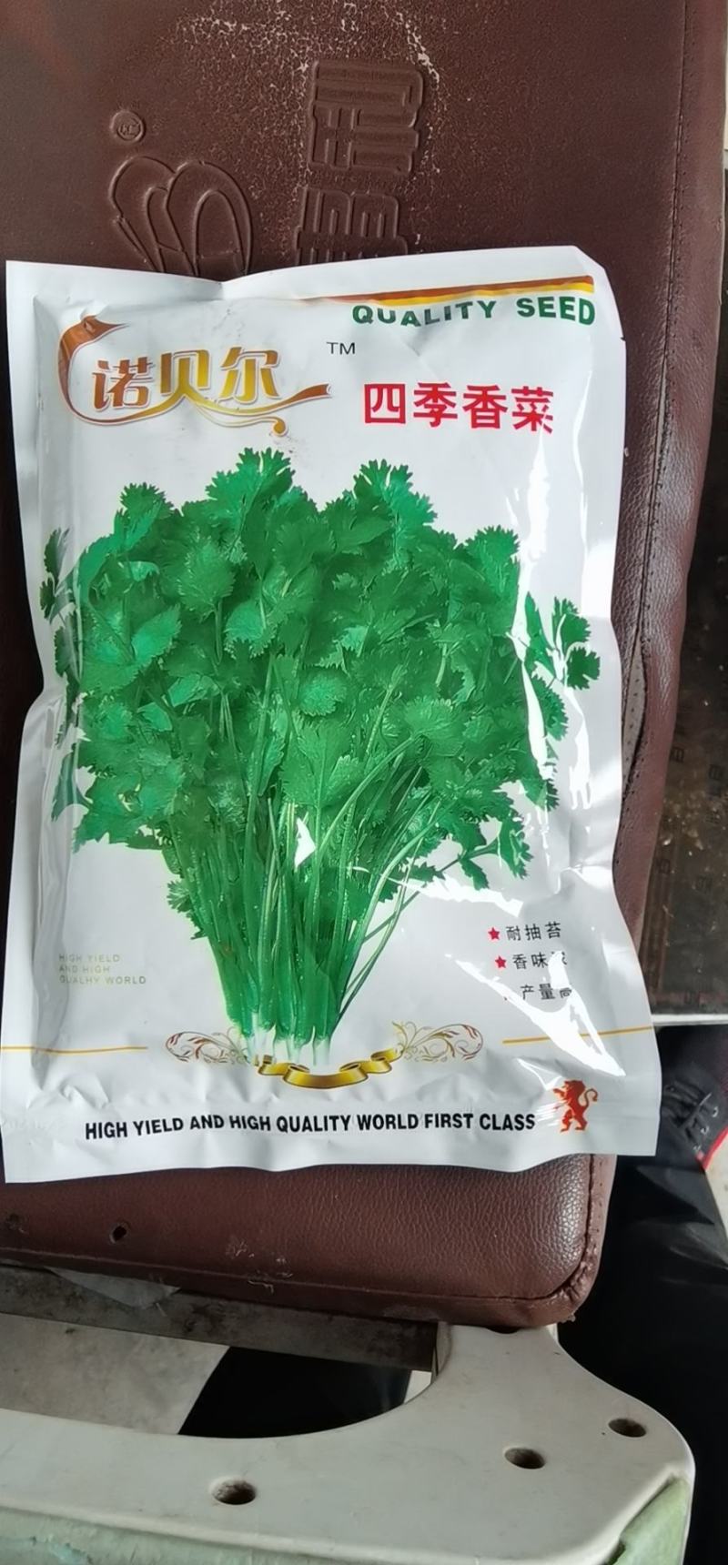 精品美国大叶香菜种子