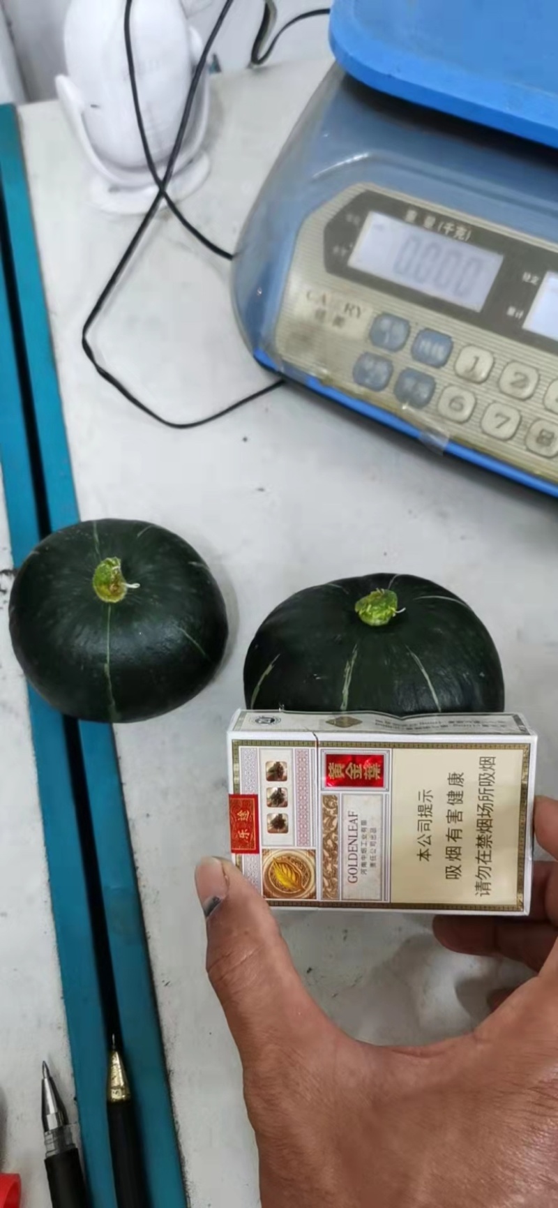 贵州贝贝南瓜，发种回收一手货源价格优惠，山地种植质量保证
