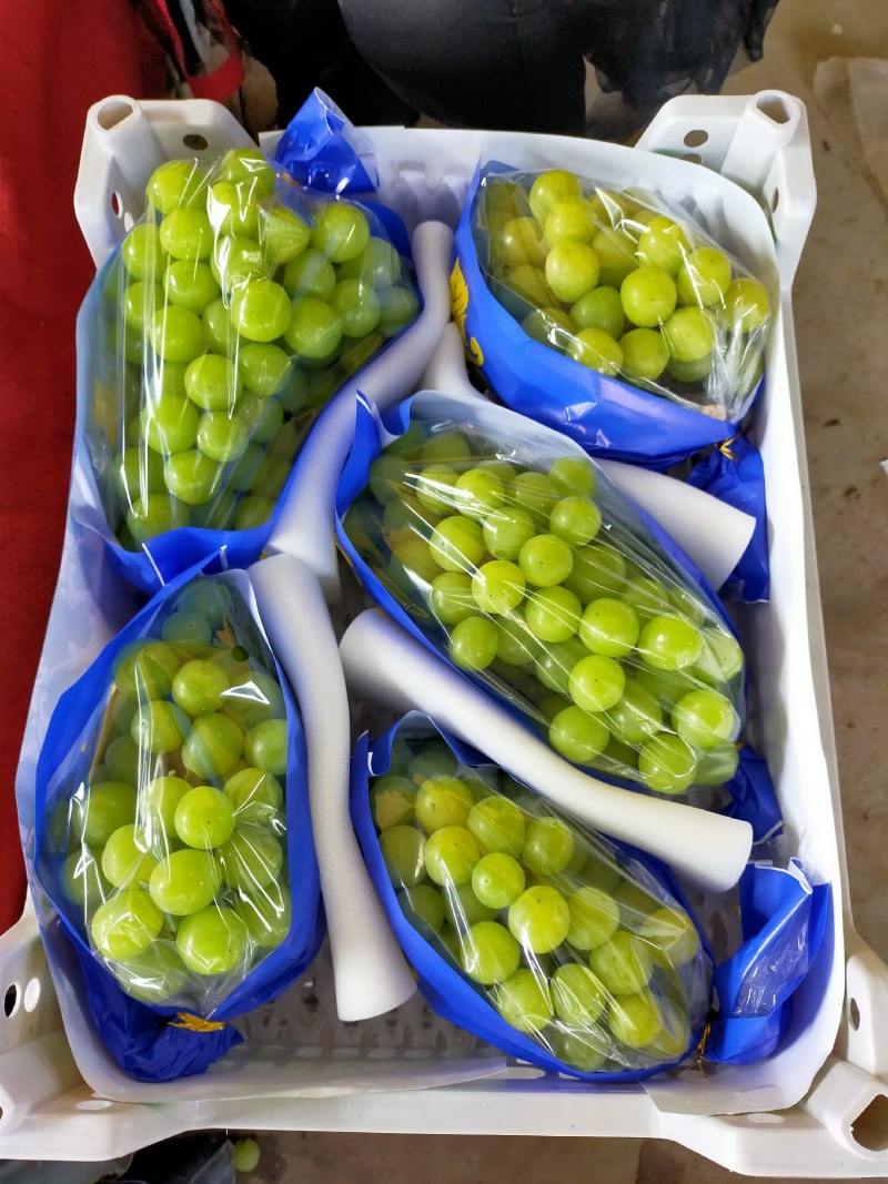 外贸阳光玫瑰冷库货青提晴王电商团购批发精品次货批发