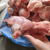 多肉前腿骨