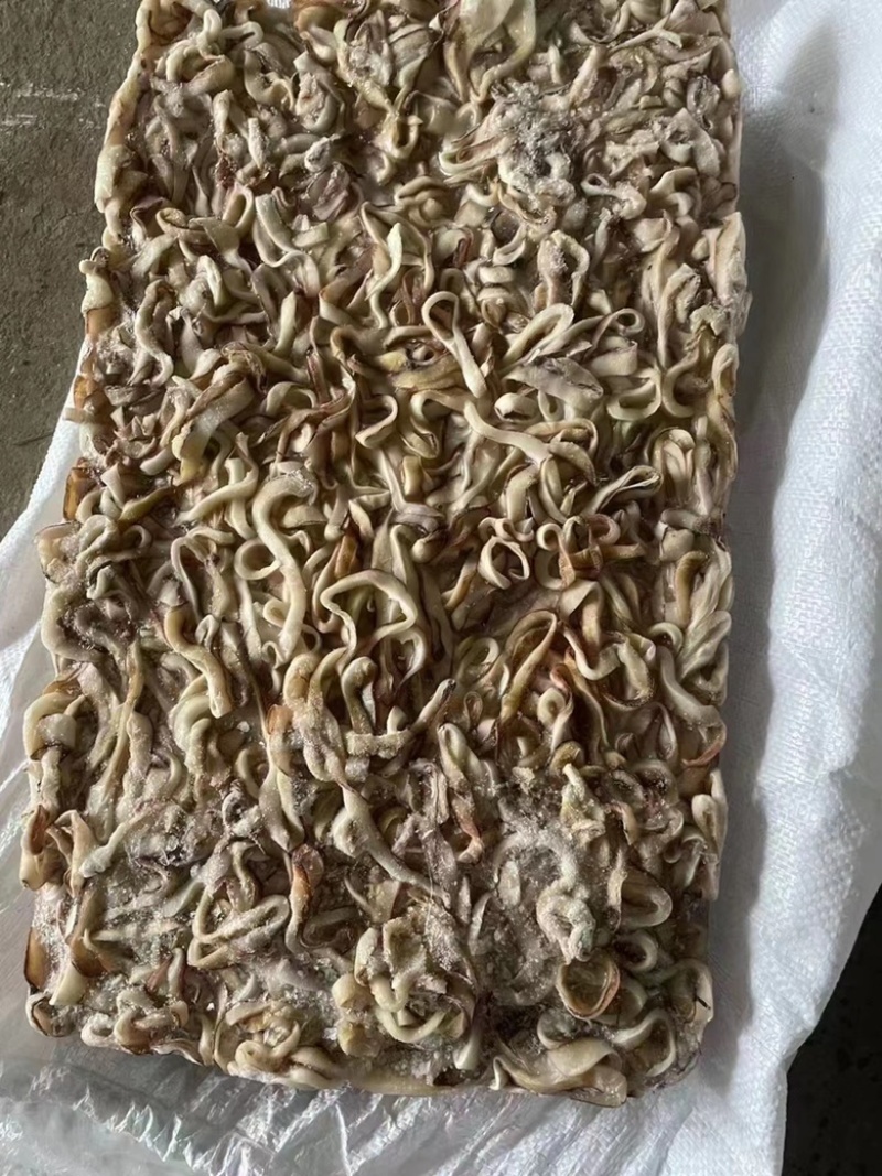 秘鲁口边