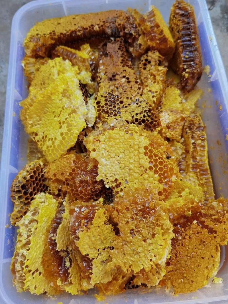 野生土蜂蜜，云南大山土蜂蜜，产地直发，一手货源，一件代发