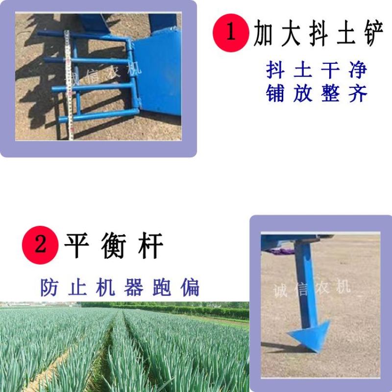 大葱收获机起葱机新式挖葱机刨葱机器抖土机四轮拖拉机带