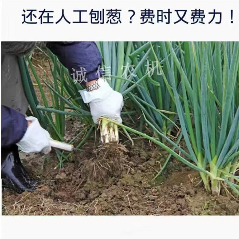 大葱收获机起葱机新式挖葱机刨葱机器抖土机四轮拖拉机带