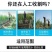 大葱收获机起葱机新式挖葱机刨葱机器抖土机四轮拖拉机带