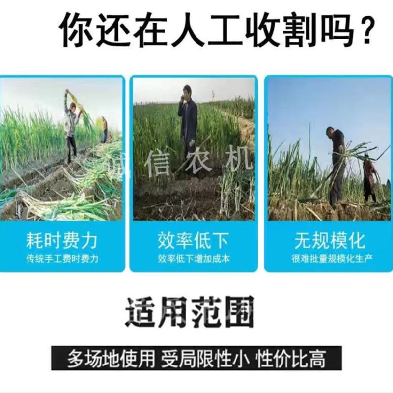 大葱收获机起葱机新式挖葱机刨葱机器抖土机四轮拖拉机带