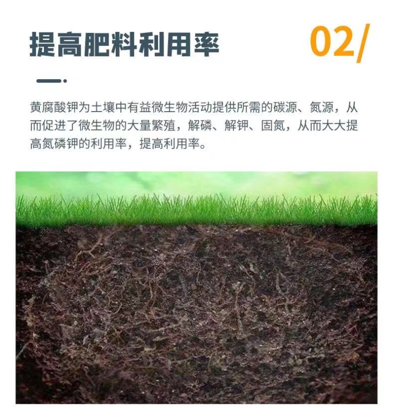 新疆原粉矿源黄腐酸钾全水溶生根壮苗抗重茬调理土壤增肥效