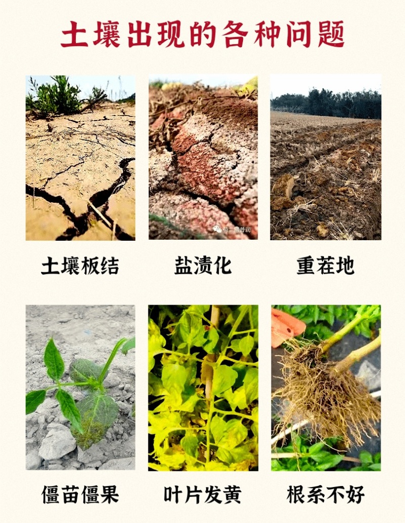 新疆原粉矿源黄腐酸钾全水溶生根壮苗抗重茬调理土壤增肥效