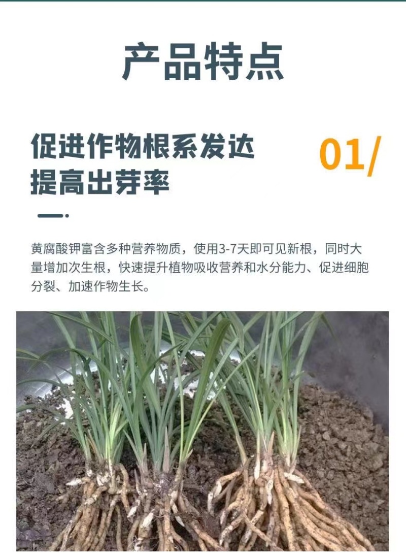 新疆原粉矿源黄腐酸钾全水溶生根壮苗抗重茬调理土壤增肥效