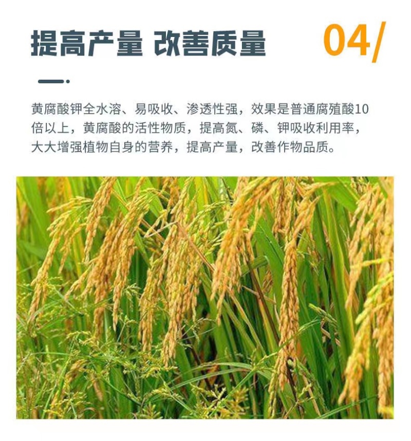 新疆原粉矿源黄腐酸钾全水溶生根壮苗抗重茬调理土壤增肥效