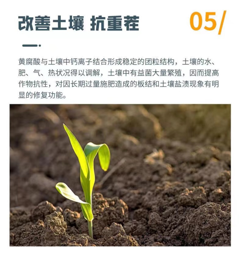 新疆原粉矿源黄腐酸钾全水溶生根壮苗抗重茬调理土壤增肥效
