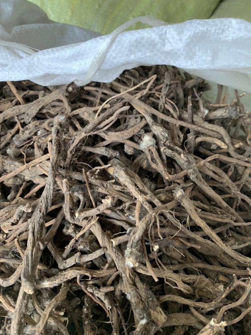 高含量白头翁，支持含量检测，超国家药典标准。