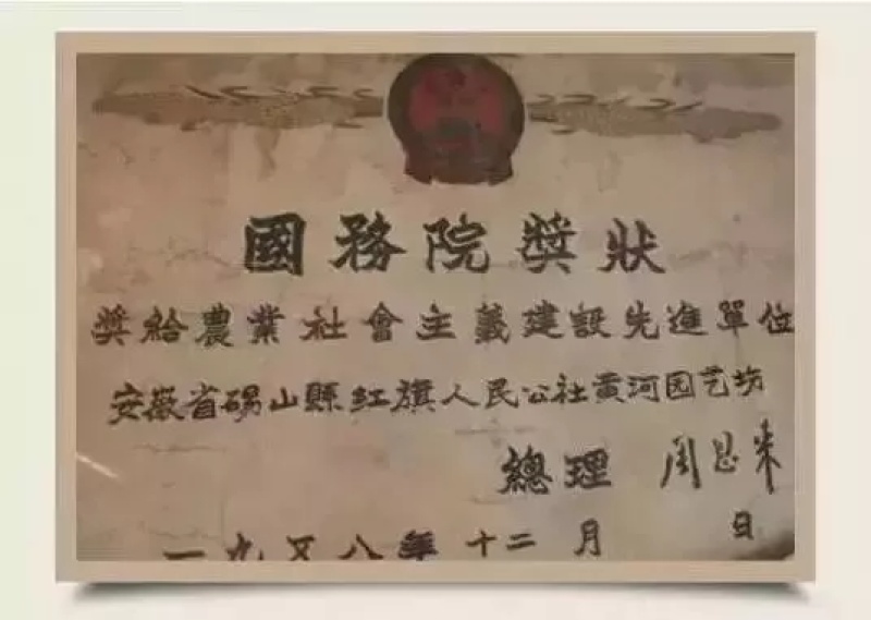 安徽酥梨电商.商超口感翠甜汁多皮薄现采现发诚信经营