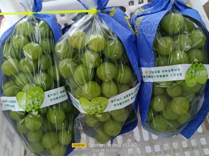 阳光玫瑰葡萄，扣甜，糖18，颗粒均匀，产地直发，量大价优