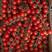 串收樱桃番茄，串番茄，串收小番茄，全年供应，基地直发