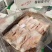 一级猪耳28-30片