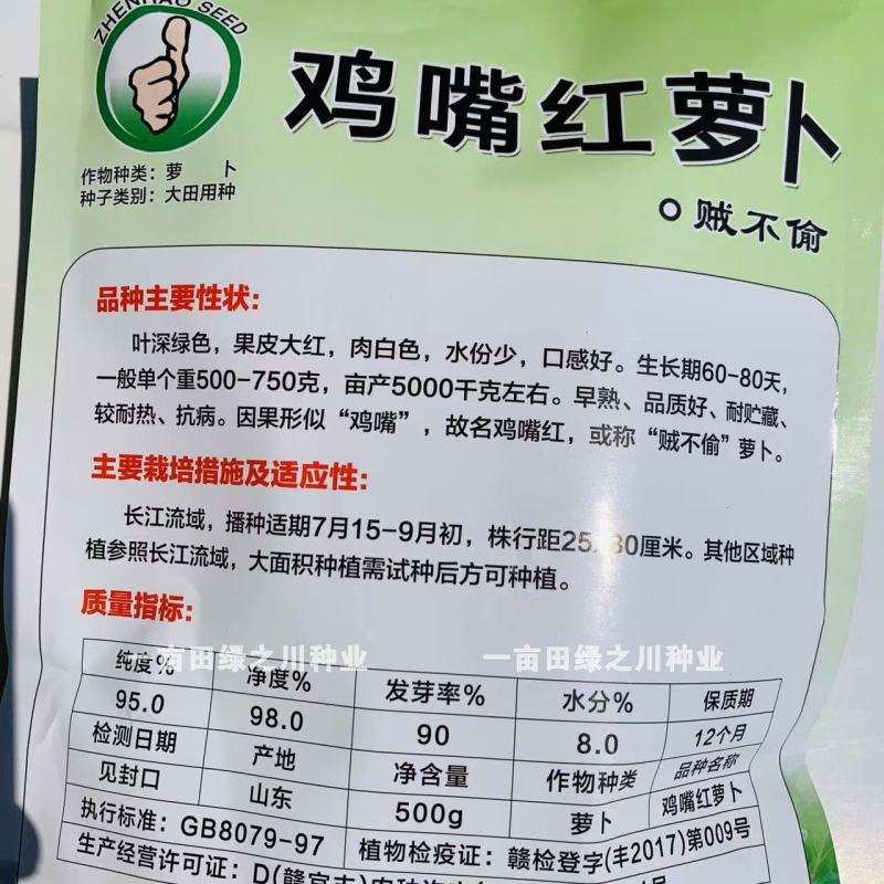 正宗鸡嘴红萝卜种子品质好早熟贼不偷萝卜种子腌制萝卜干