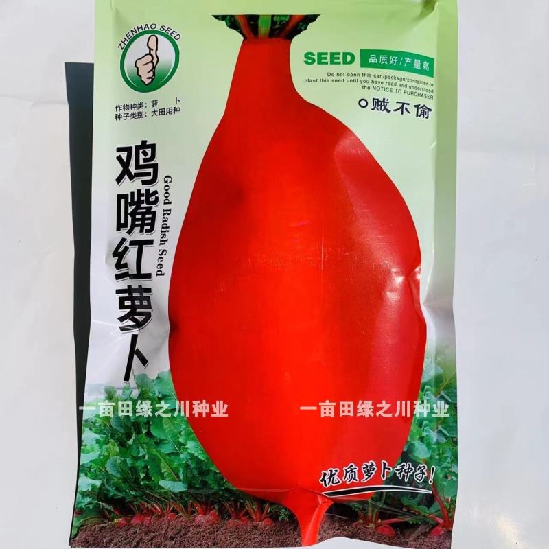 正宗鸡嘴红萝卜种子品质好早熟贼不偷萝卜种子腌制萝卜干