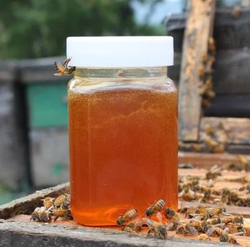 蒙山土蜂蜜礼盒装土蜂蜜浓稠蜜自然土蜂蜜包邮