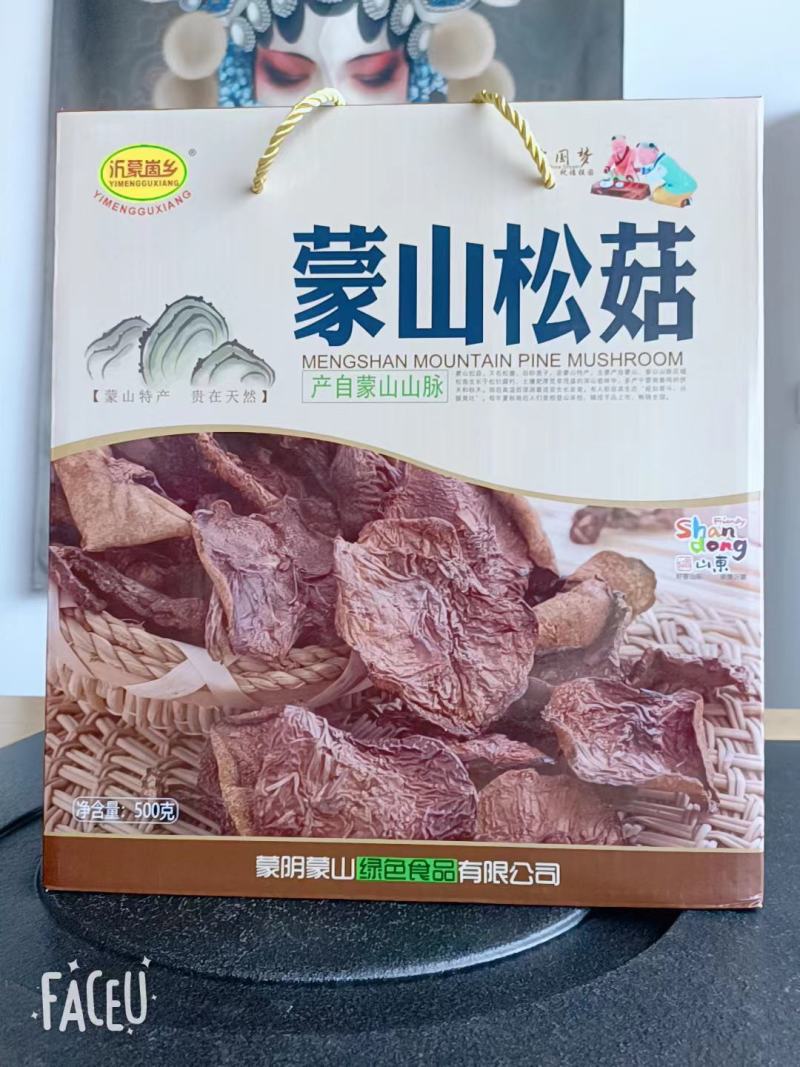 蒙山松菇产自蒙山山脉肉质厚实蒙山松菇包邮