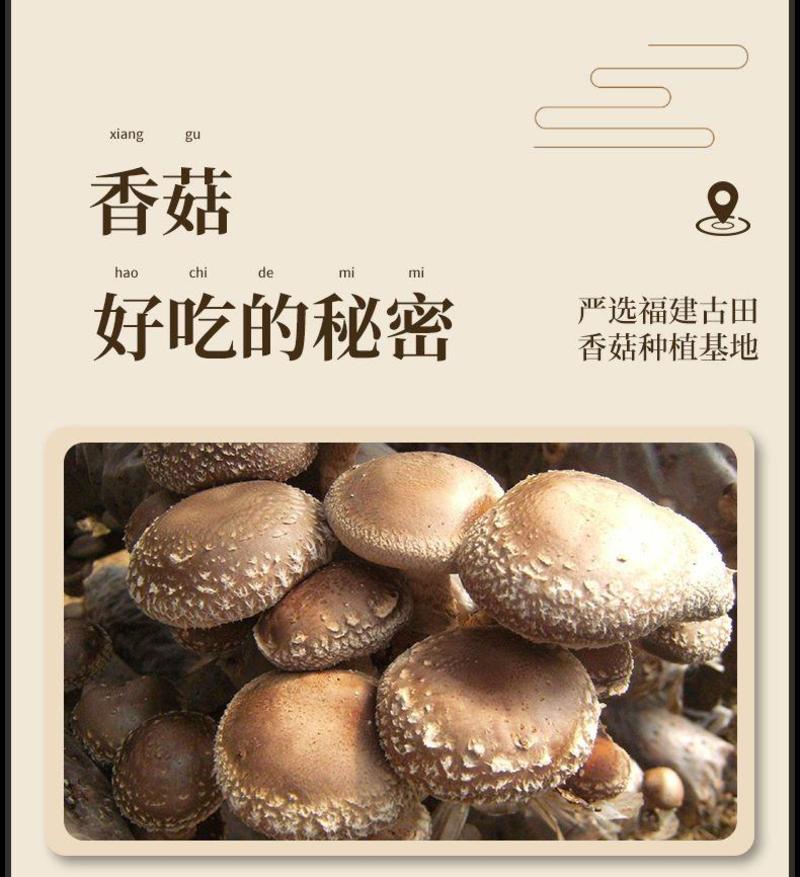 香菇干香菇黑面菇厚肉冬菇量大从优诚信经营