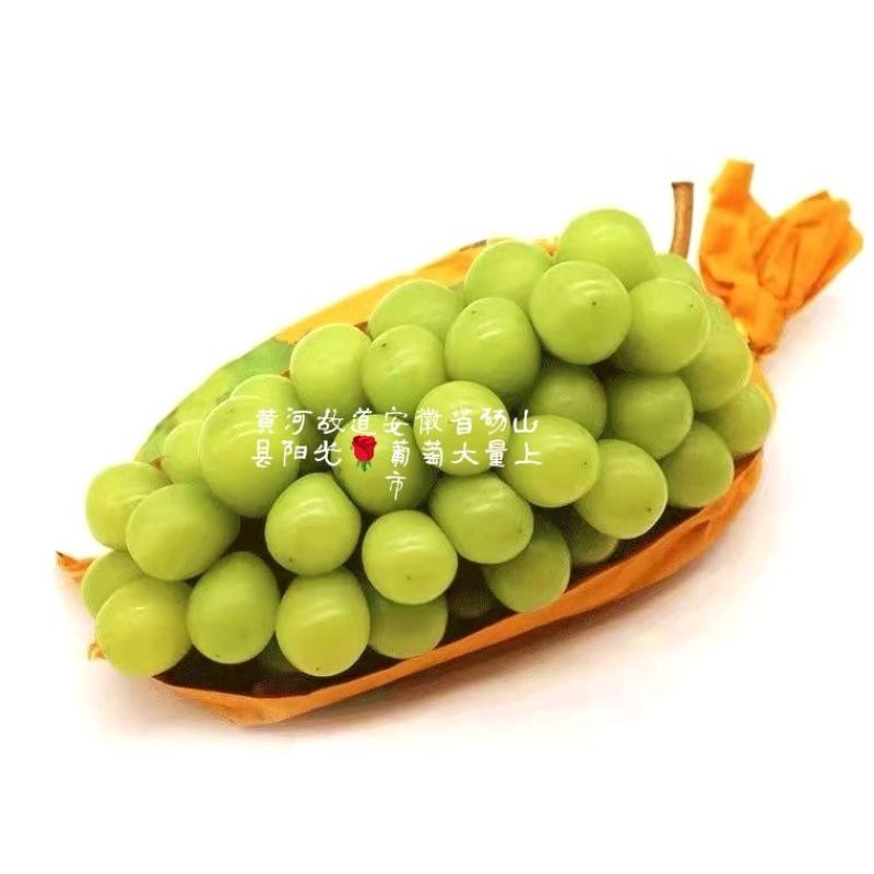 葡萄阳光玫瑰甜度高，颗粒均匀，价格美丽，原产地发货