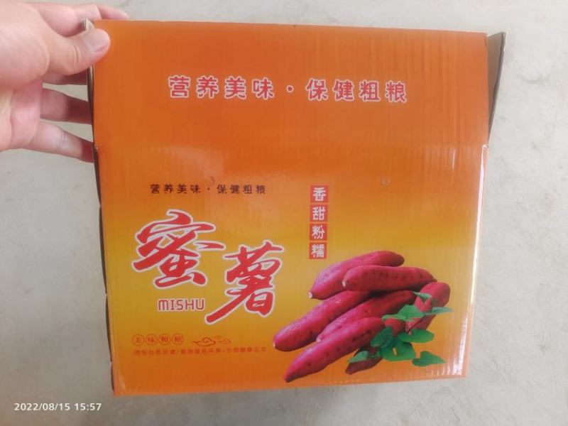 经典烟薯25