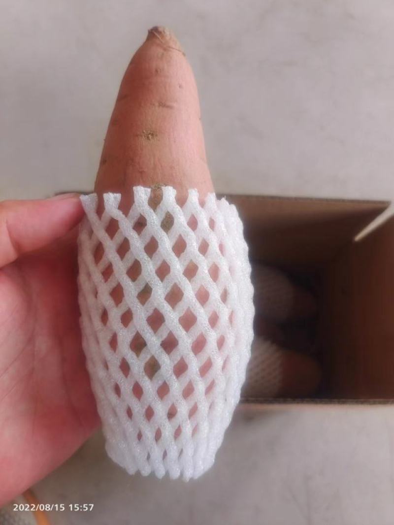 经典烟薯25