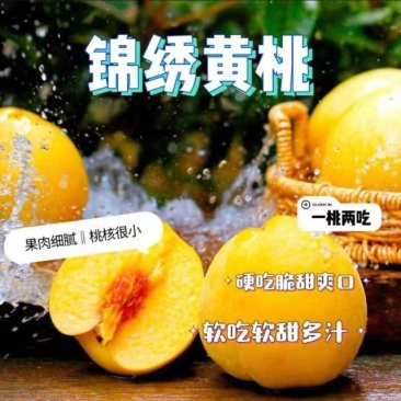 蒙阴黄桃