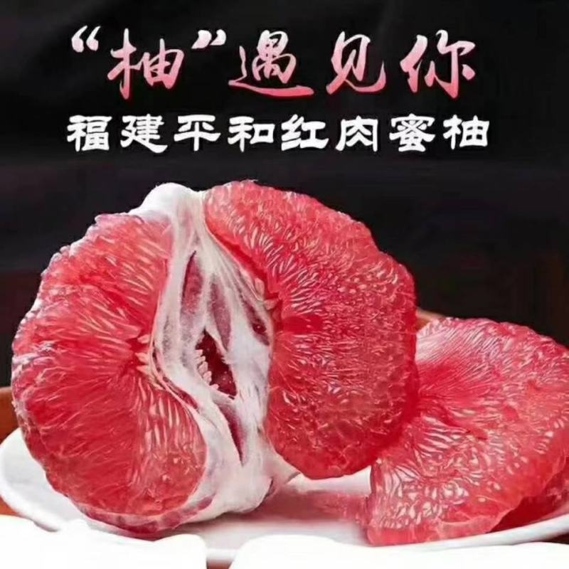 红心柚