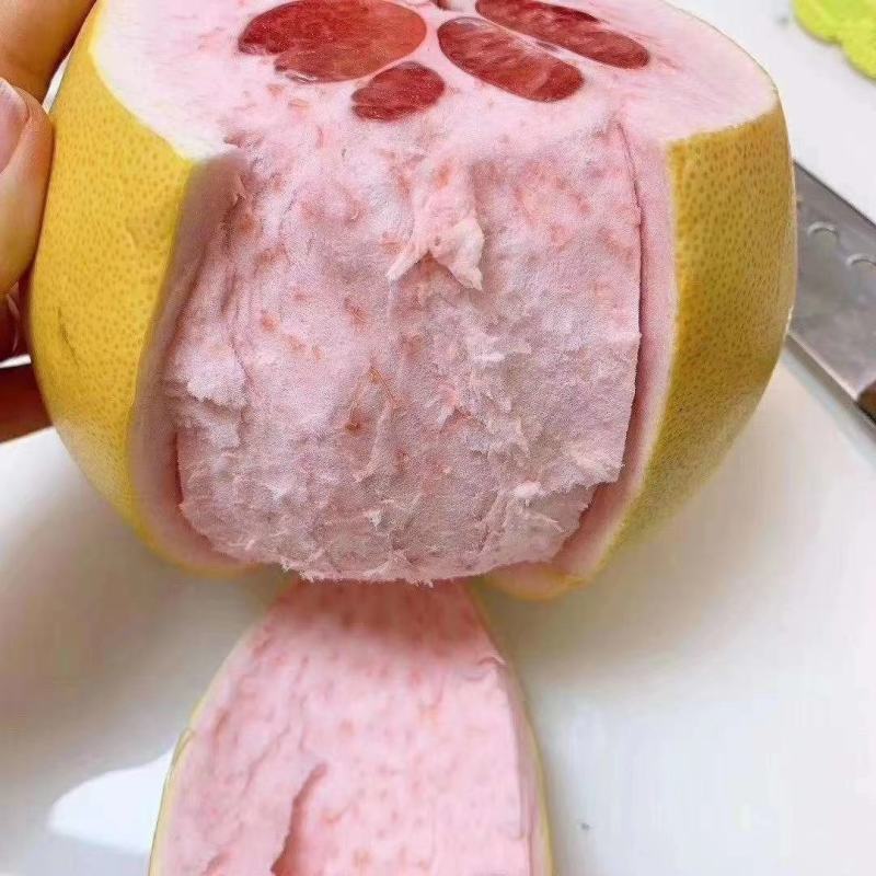 红心柚