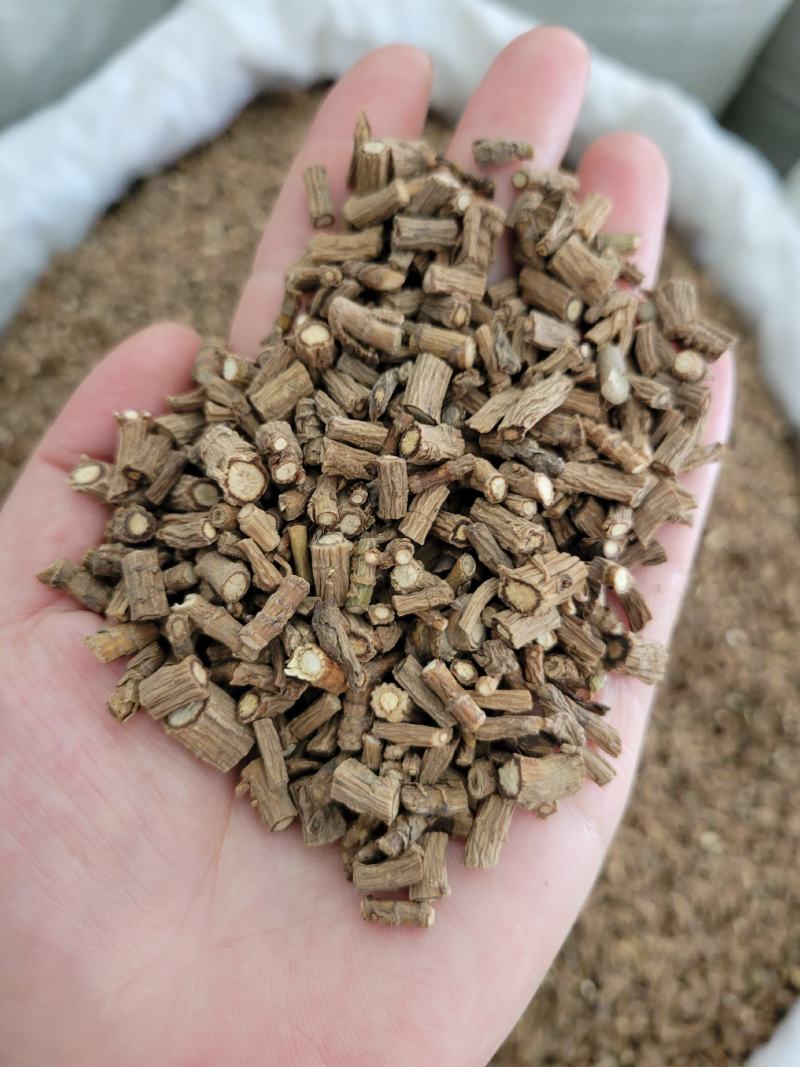 柴胡藏柴胡甘肃柴胡过0.4筛甘肃产地货源大量供