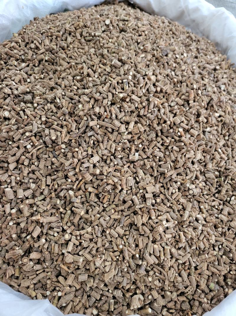 柴胡藏柴胡甘肃柴胡过0.4筛甘肃产地货源大量供