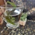 热卖中肾精茶，又称排石茶，男女皆可饮，开水冲服，每天一次