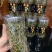 热卖中肾精茶，又称排石茶，男女皆可饮，开水冲服，每天一次