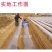 微耕机带铺膜机覆膜机农用小型土地盖膜机器农用人力铺膜机手