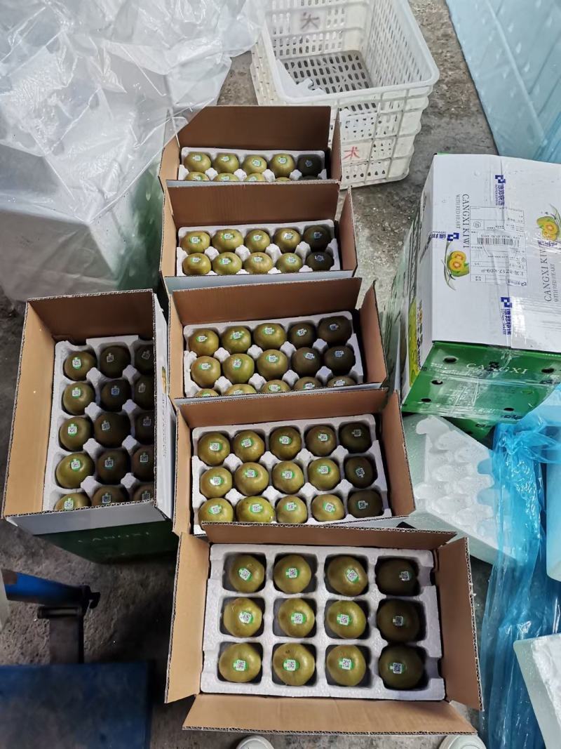 四川基地一手货源全国走货量大价低包邮红心猕猴桃