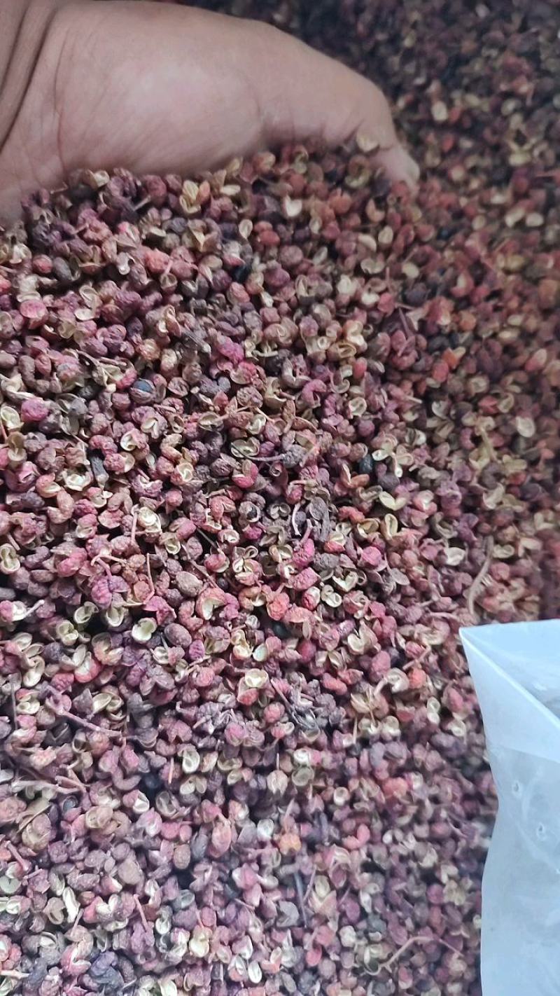 韩城红花椒，打粉优质，麻味浓郁，价格优惠，客户反响很好