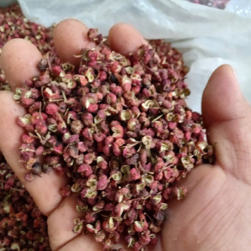 韩城红花椒，打粉优质，麻味浓郁，价格优惠，客户反响很好