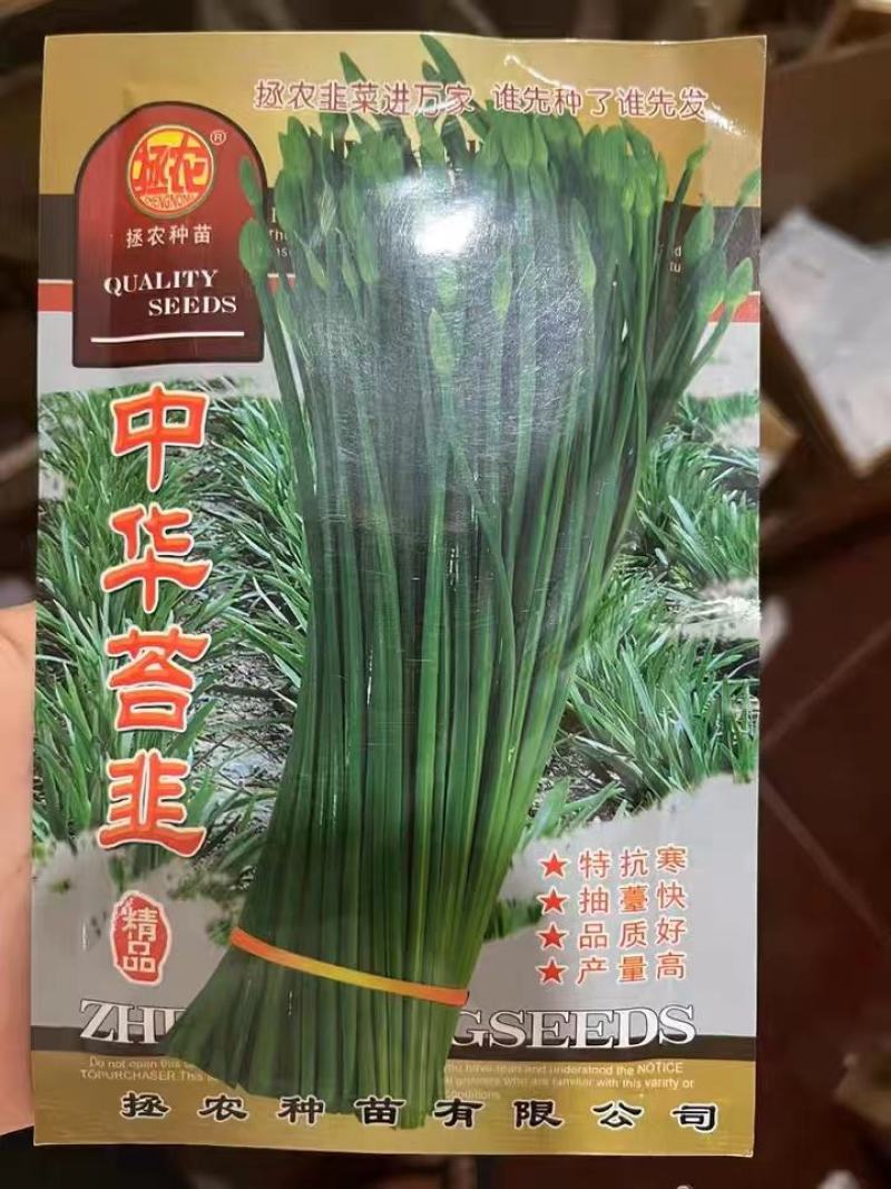 早熟苔韭种子韭菜苔种子叶苔两用型出苔早再生能力强