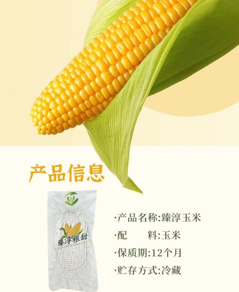 一件代发臻淳粮甜粘玉米包邮