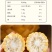 一件代发臻淳粮甜粘玉米包邮