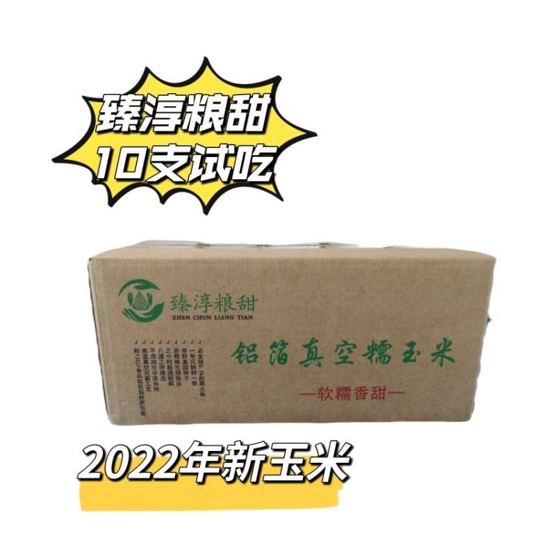 一件代发臻淳粮甜粘玉米包邮