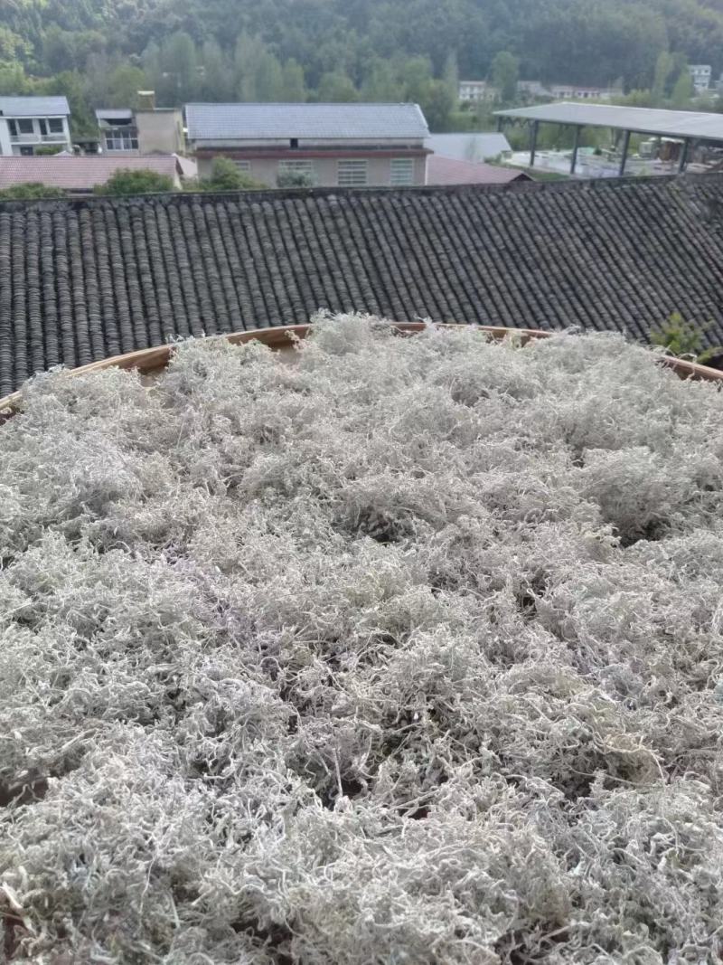 茅岩莓