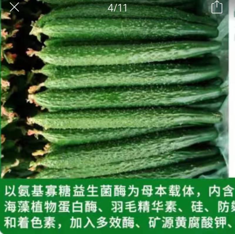 黄瓜专用肥中量元素水溶肥
