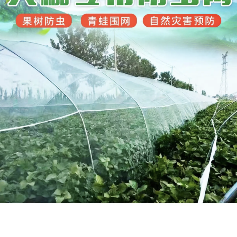防虫网大棚防虫网阻挡昆虫防虫网防充