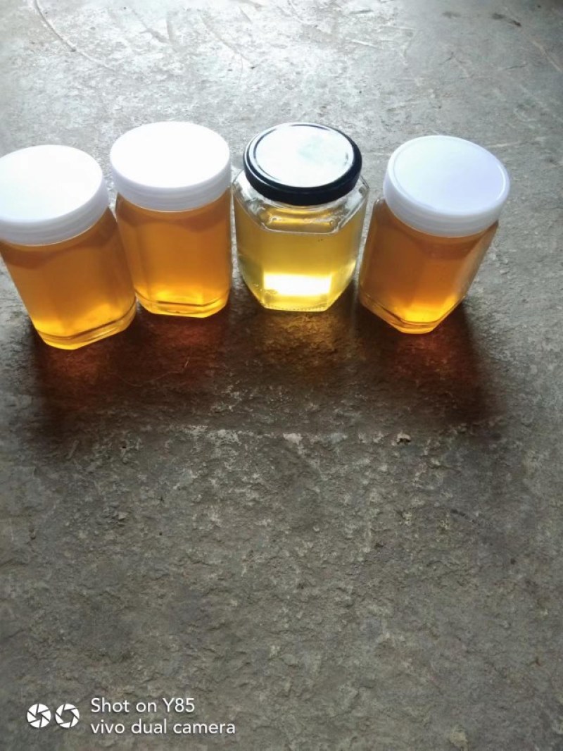 优质一等品的土蜂蜜百花蜜，能达到一级品质