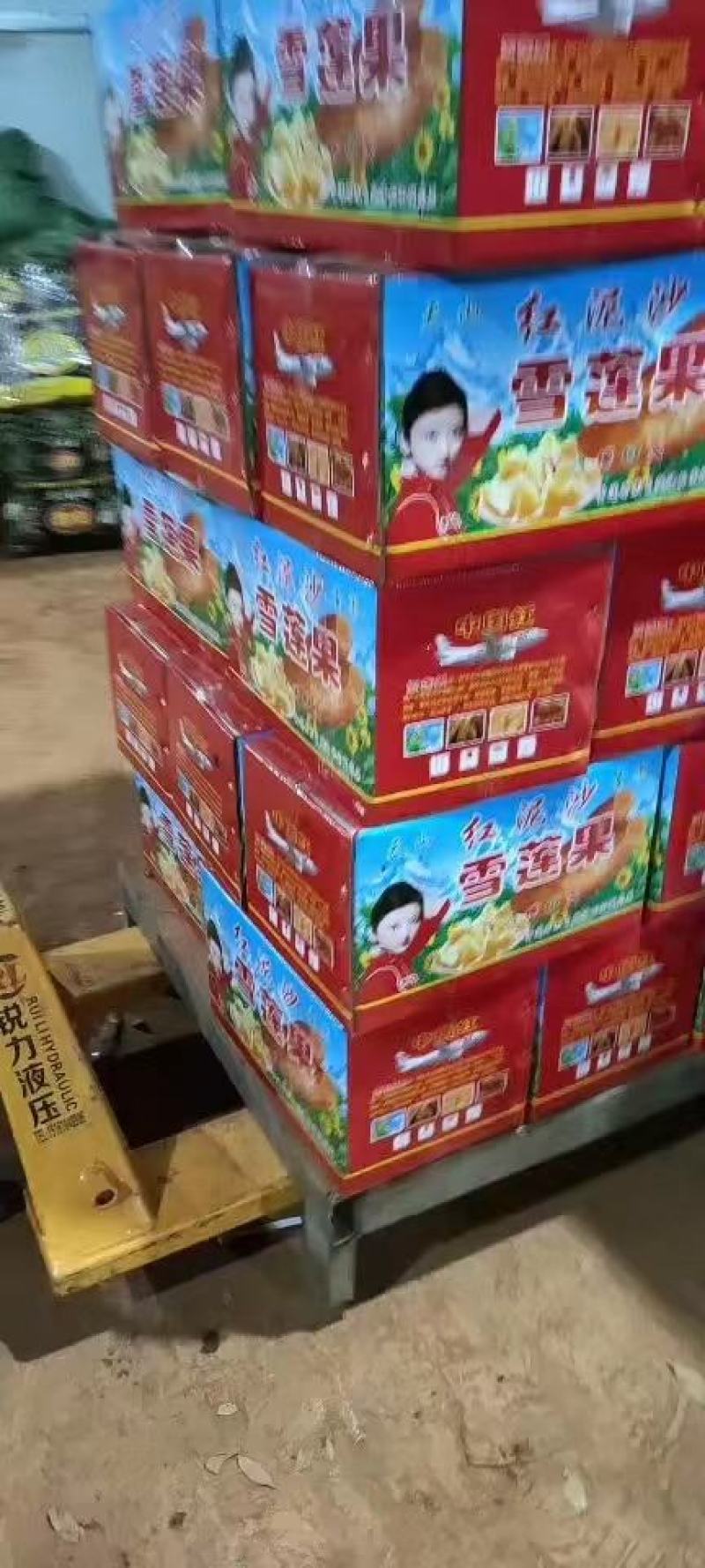 26雪莲果精品市场货电商一件代发社区团购供货反季节全年有