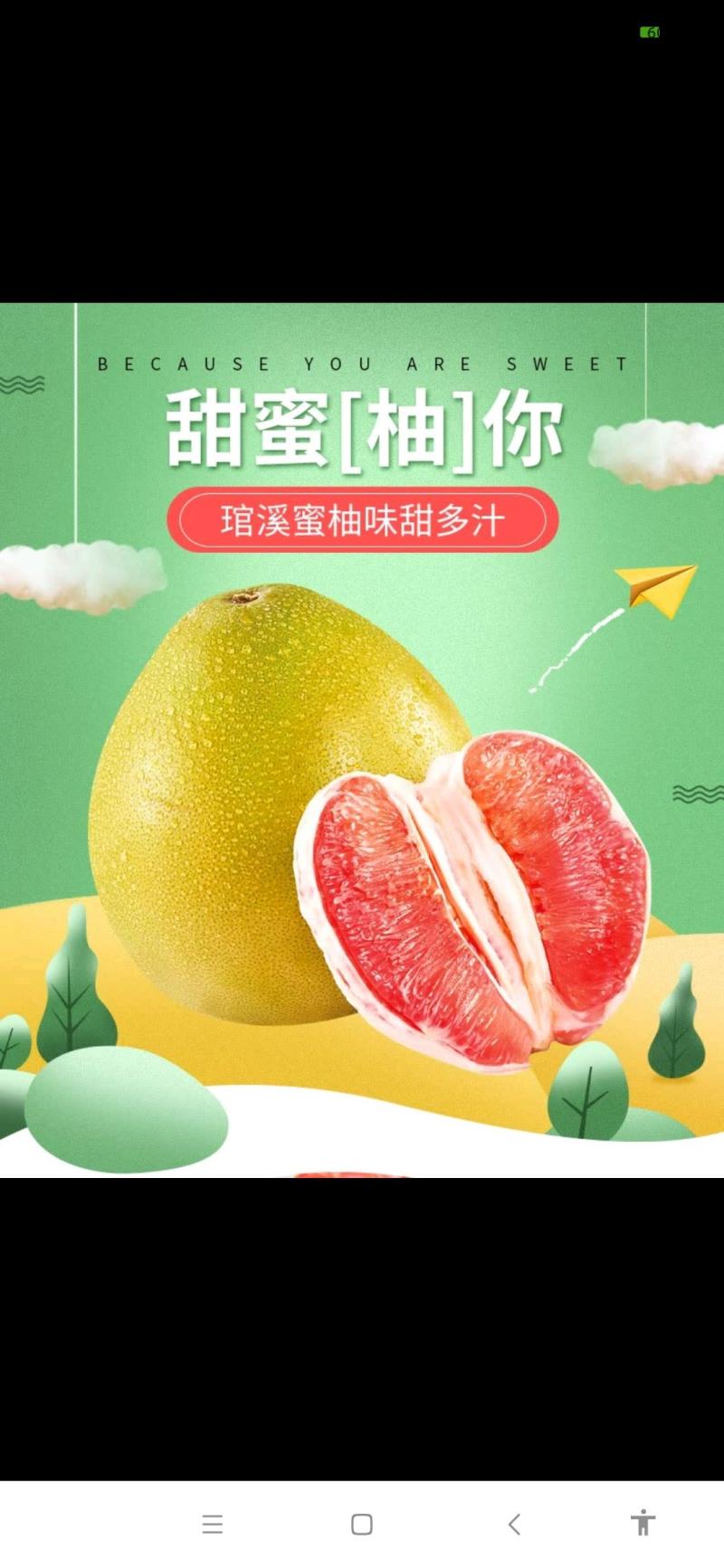 红心柚子三红柚子福建平和琯溪蜜柚三红柚葡萄柚